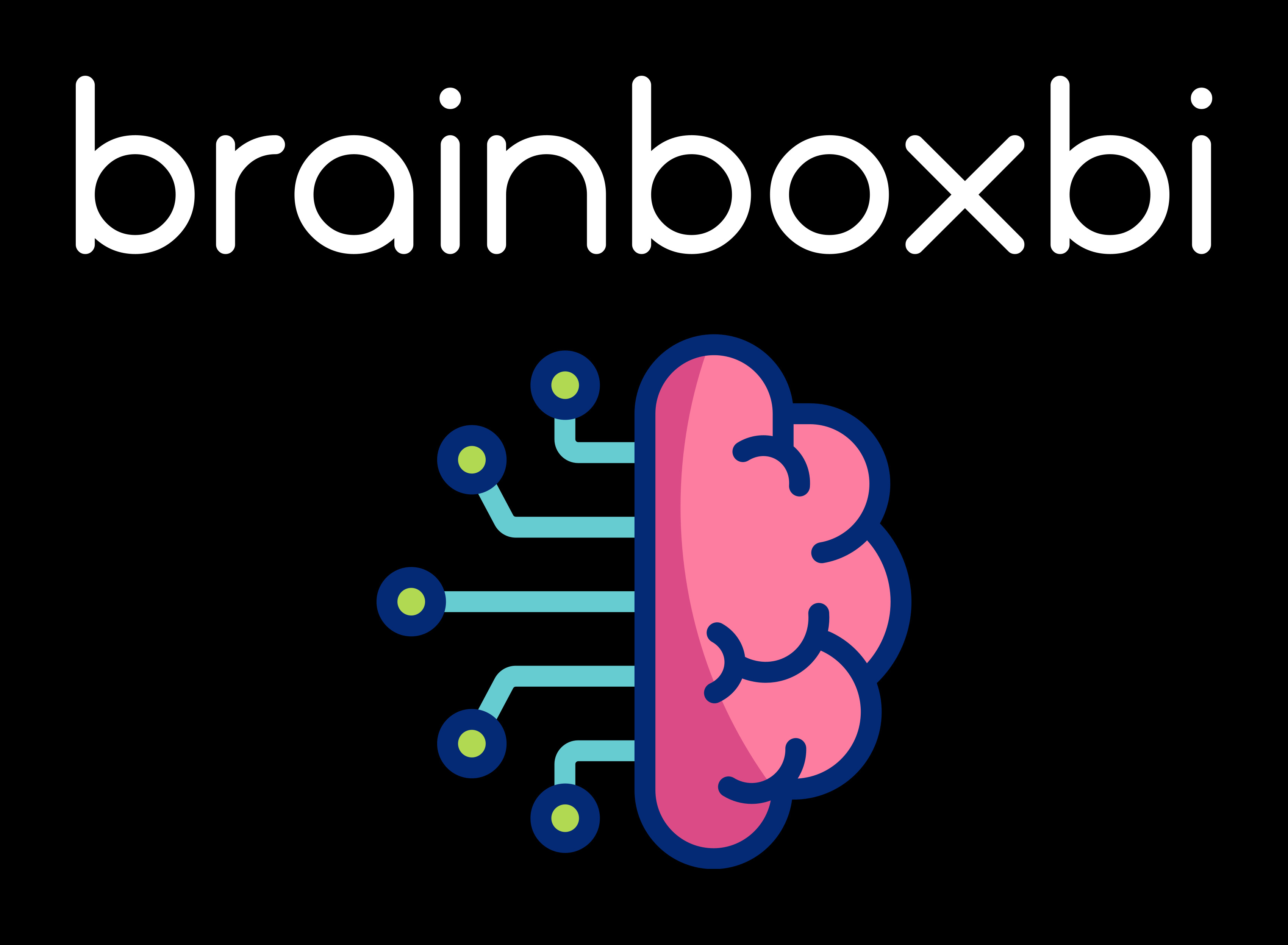 BrainboxBI
